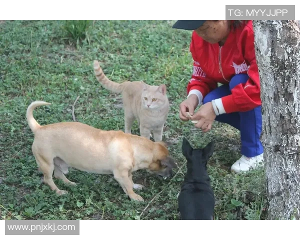 国外足球明星在抖音上分享生活点滴引发粉丝热议与互动