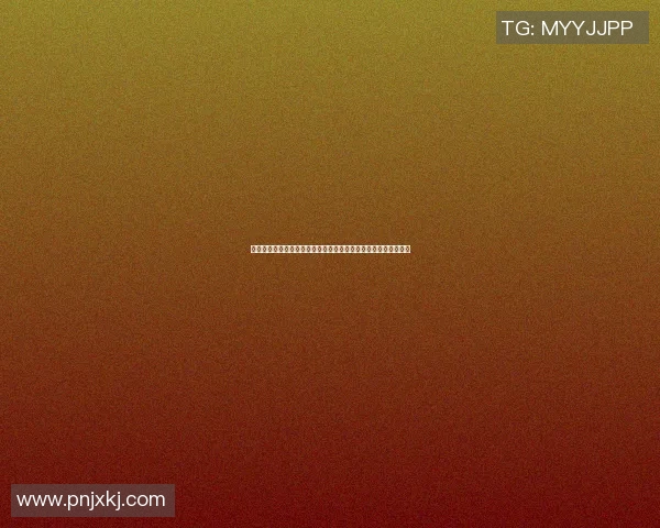 男篮球明星的另一半揭秘她们如何支持丈夫的职业生涯与家庭生活